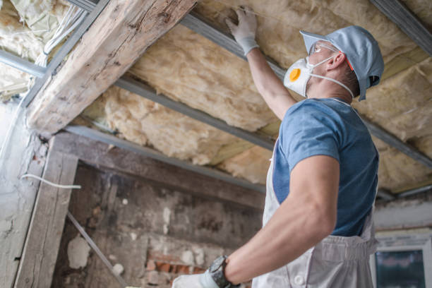Best Specialized Insulation Services in El Verano, CA