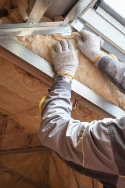Best Eco-Friendly Insulation in El Verano, CA